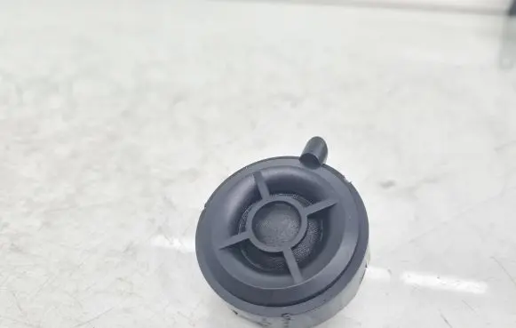 Front door high frequency speaker