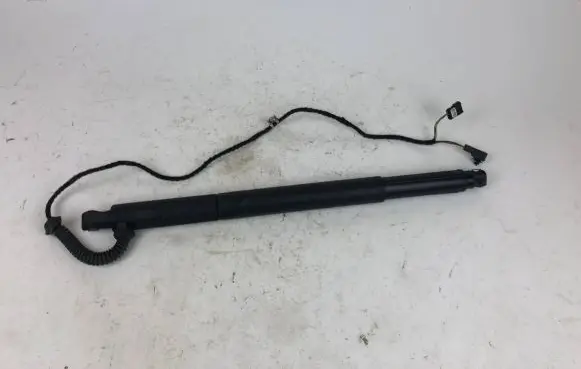 BMW X6 E71 Soft lock spindle drive 7332697 995905 16102012