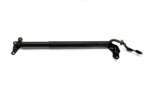 Tailgate strut
