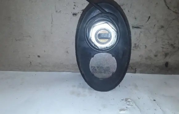 Peugeot 307 Radio antenna 9650911180