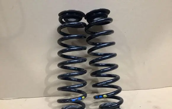 Rear coil spring