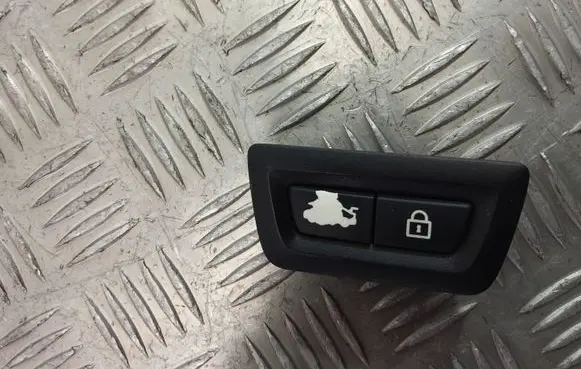 BMW 5 F10 F11 Tailgate/boot open switch button 9162645