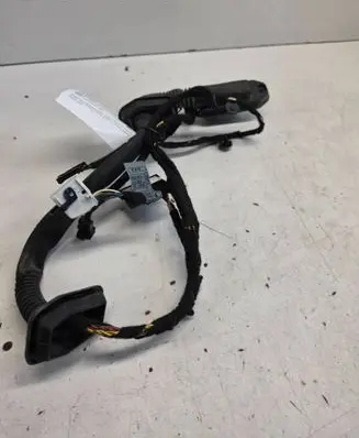 BMW 7 E65 E66 Rear door wiring loom 6918772
