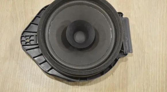 Chevrolet Aveo Rear door speaker