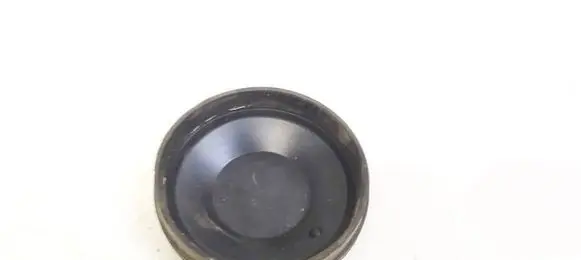 Nissan Almera Tino Headlight/headlamp dust cover 153873