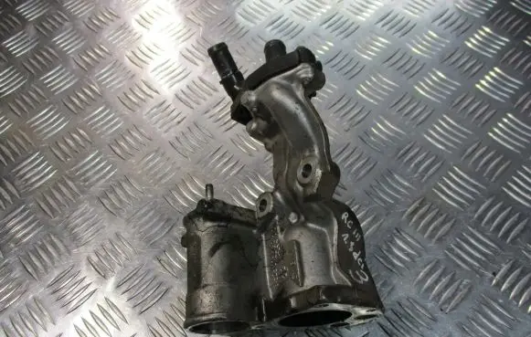 Renault Clio III EGR valve