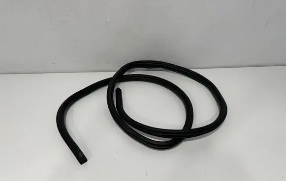 Rear door rubber seal (on body)