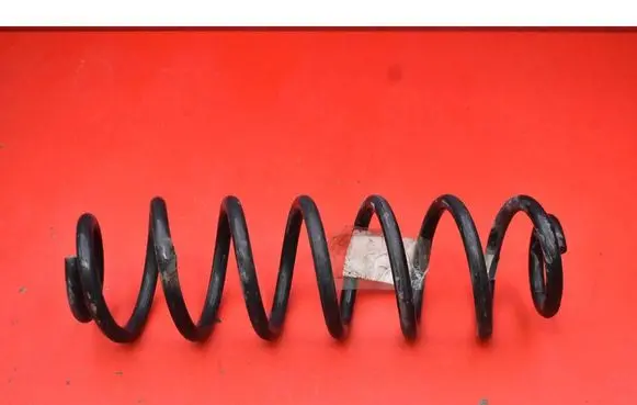 Rear coil spring