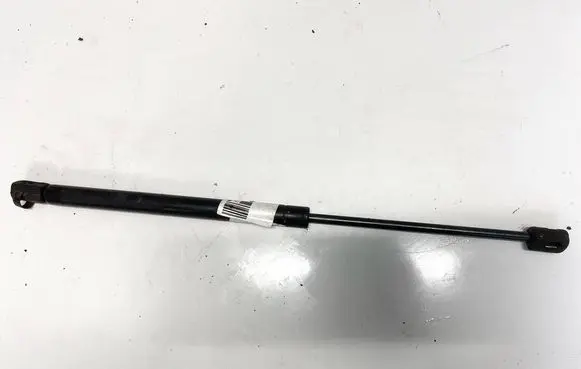 Tailgate/trunk strut/damper