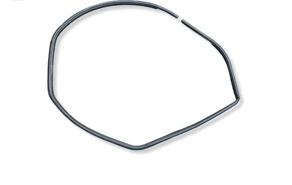 Toyota bZ4X Rear door rubber seal (on body) 