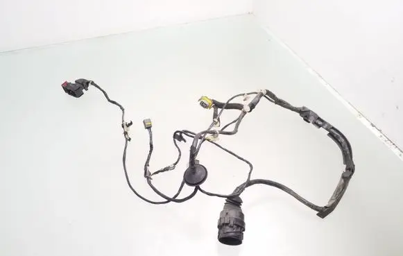 Front door wiring loom