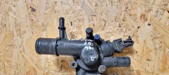 Thermostat/thermostat housing