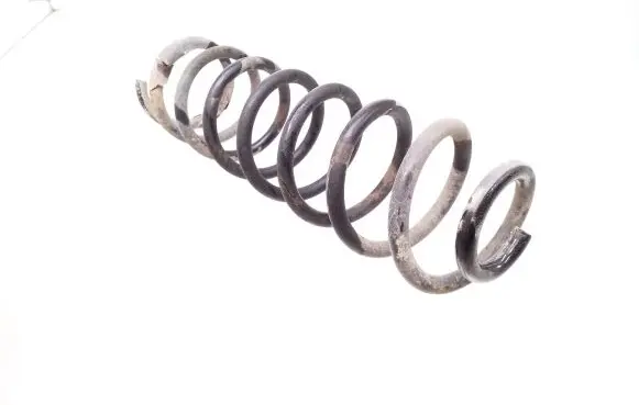 Renault Megane II Rear coil spring