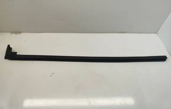 Dodge Challenger Rubber seal front coupe door 5056274AC