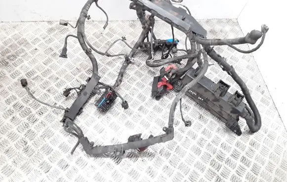 KIA Carnival Engine installation wiring loom 20071208 914104D043
