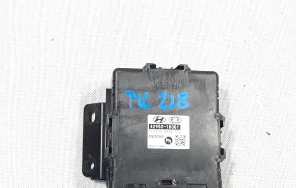 Hyundai Kona I Other control units/modules 4295018001