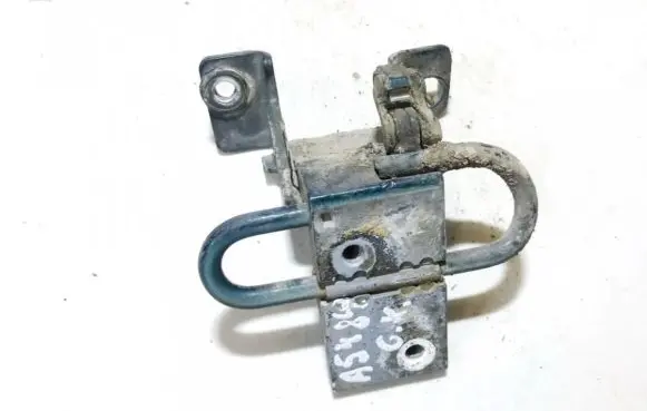 Rear door lower hinge
