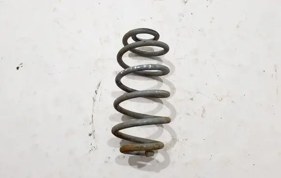 Rear coil spring