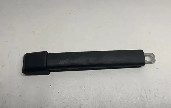 Chrysler Pacifica Rear interior roof grab handle TL828708 VL9987