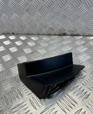 Rear/tail light trim molding
