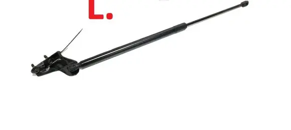 Tailgate/trunk strut/damper