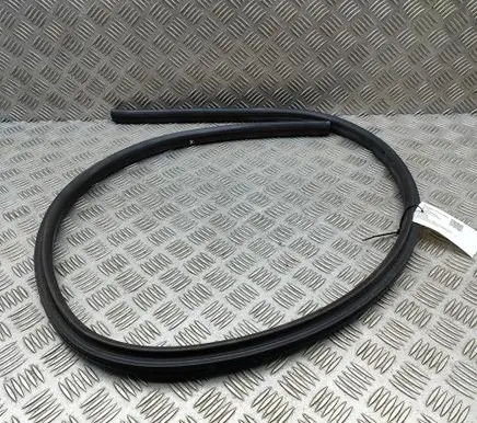 BMW Z4 E89 Rubber seal front coupe door 7046101