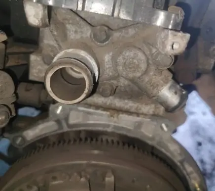 Ford Focus Engine coolant pipe/hose