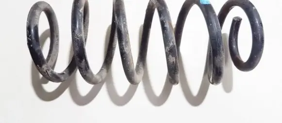 Rear coil spring