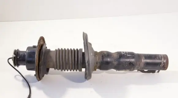 Porsche Cayman 987 Rear shock absorber/damper 98733305304