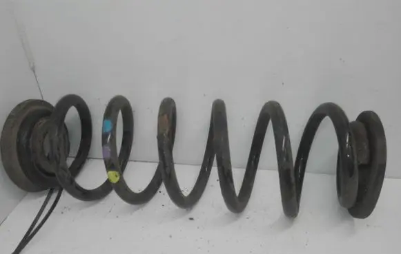 Volkswagen PASSAT B6 Rear coil spring
