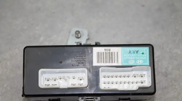 Hyundai Santa Fe Other control units/modules 952302B220