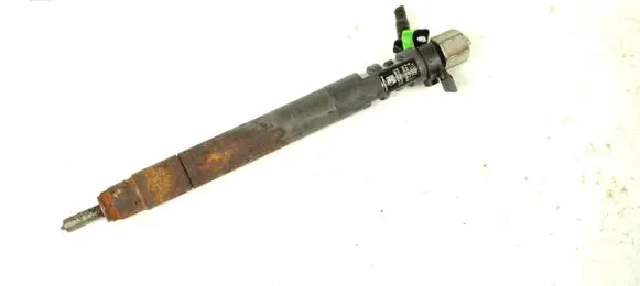 Ford Galaxy Fuel injector 9686191080