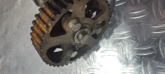 Peugeot 307 Camshaft pulley/ VANOS 