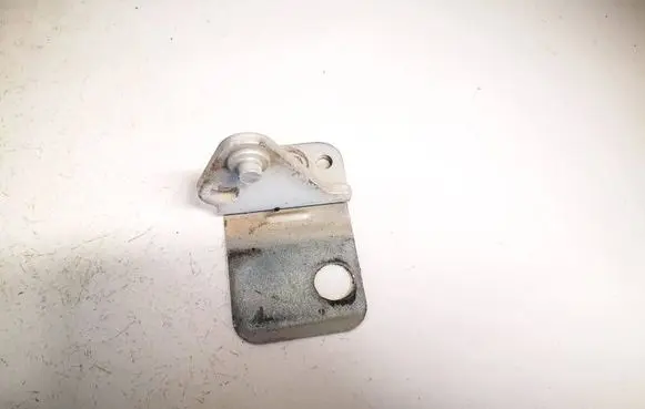 Rear door lower hinge