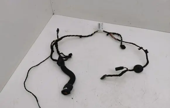 Front door wiring loom