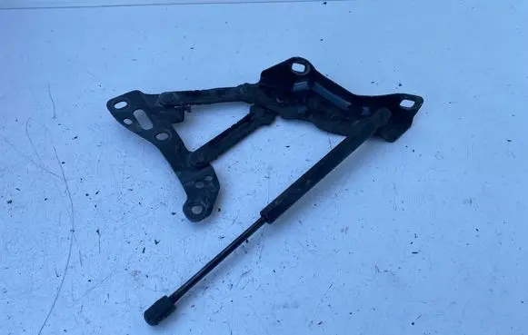 Engine bonnet/hood hinges