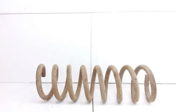 Front coil spring