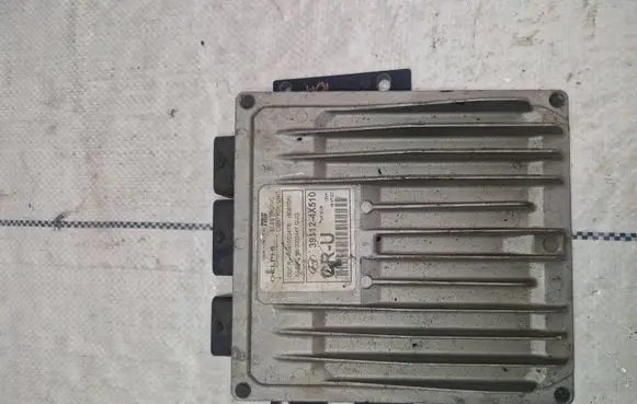 Hyundai Terracan Engine control unit/module 391124x510