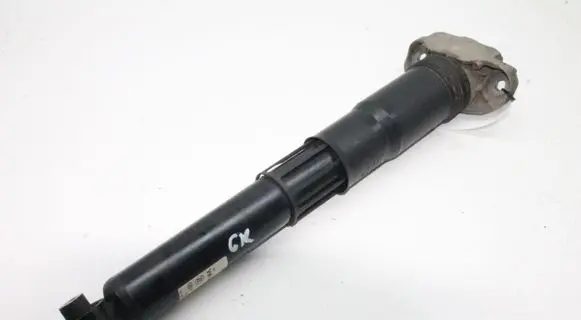 Audi Q4 Sportback e-tron Rear shock absorber/damper 1EA512013BT