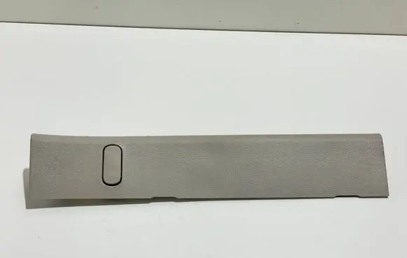 Chrysler Pacifica Sliding door trim (molding) 6AQ42TRMAD