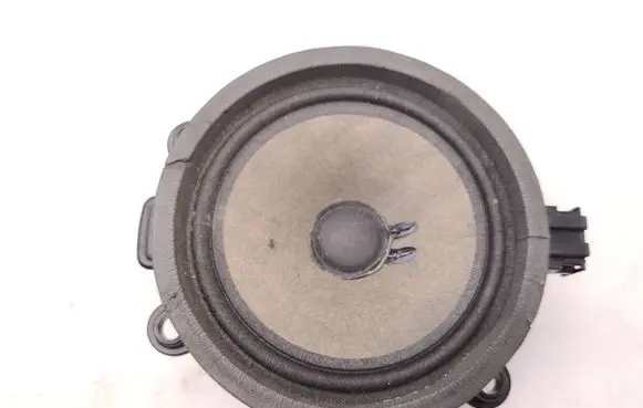 Front door speaker