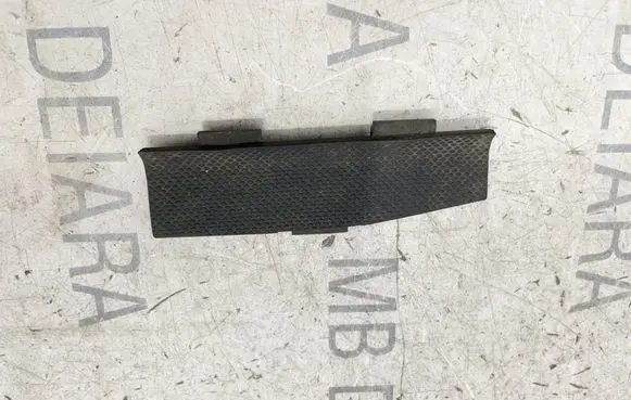 Tesla Model S Other front door trim element 100794100B