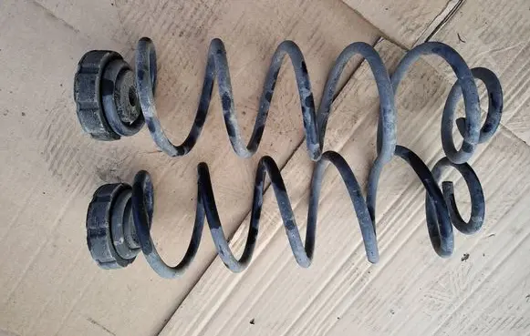 Rear coil spring