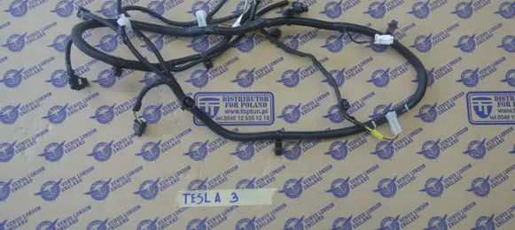 Tesla Model 3 Other wiring loom 106795801E