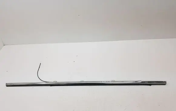 Honda Accord Rear door glass trim molding