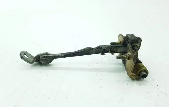 Renault Scenic I Rear door check strap stopper