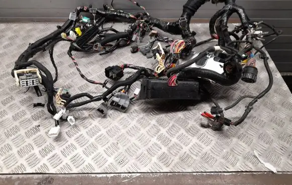Tesla Model S Other wiring loom 100676300D 100442300G