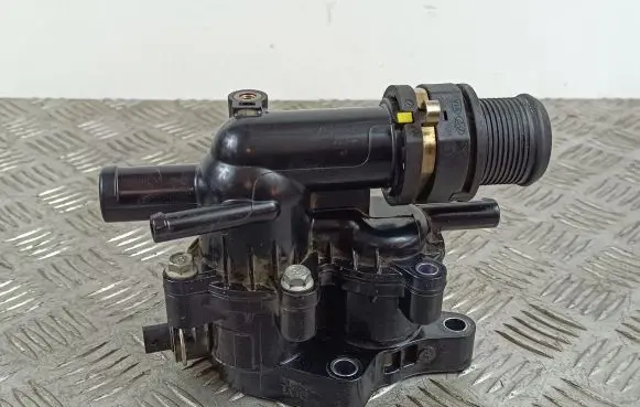 Thermostat/thermostat housing
