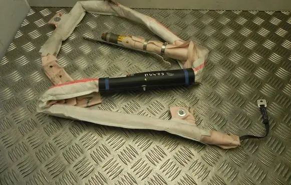 Tesla Model S Roof airbag 100526200D