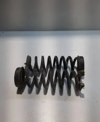Rear coil spring